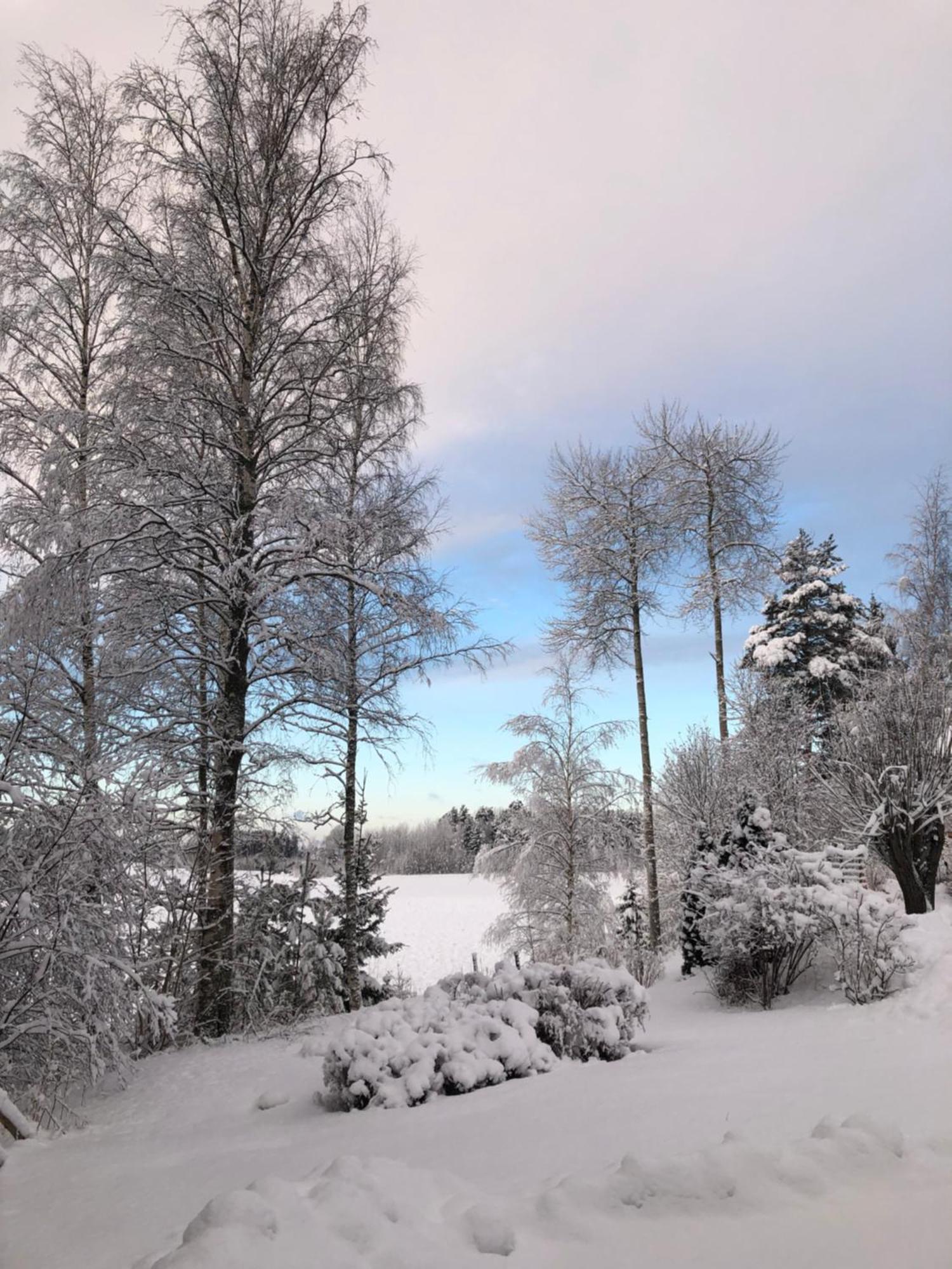 Himalayan Cabin Inkoo Eksteriør billede